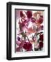 Flowers-Andrzej Pluta-Framed Giclee Print