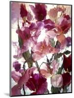 Flowers-Andrzej Pluta-Mounted Giclee Print