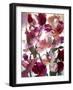 Flowers-Andrzej Pluta-Framed Giclee Print