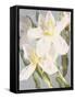 Flowers-Andrzej Pluta-Framed Stretched Canvas