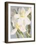 Flowers-Andrzej Pluta-Framed Giclee Print