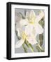 Flowers-Andrzej Pluta-Framed Giclee Print