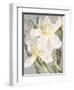 Flowers-Andrzej Pluta-Framed Giclee Print