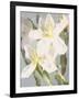 Flowers-Andrzej Pluta-Framed Giclee Print