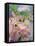 Flowers-Andrzej Pluta-Framed Stretched Canvas