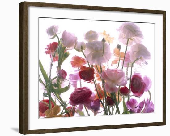 Flowers-Andrzej Pluta-Framed Giclee Print