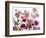 Flowers-Andrzej Pluta-Framed Giclee Print