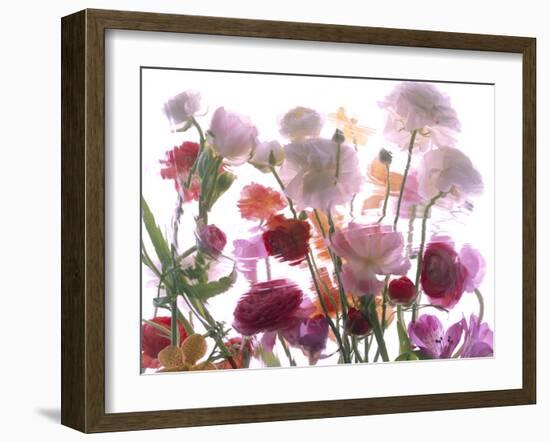 Flowers-Andrzej Pluta-Framed Giclee Print