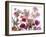 Flowers-Andrzej Pluta-Framed Giclee Print