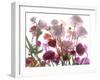 Flowers-Andrzej Pluta-Framed Giclee Print