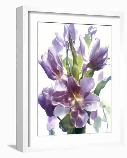 Flowers-Andrzej Pluta-Framed Giclee Print