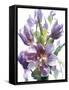 Flowers-Andrzej Pluta-Framed Stretched Canvas