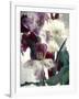 Flowers-Andrzej Pluta-Framed Giclee Print