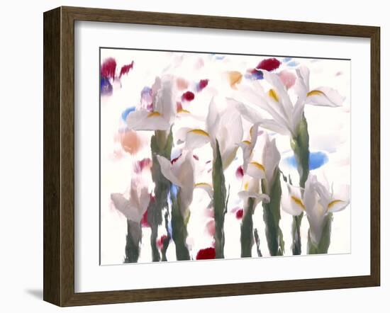 Flowers-Andrzej Pluta-Framed Giclee Print