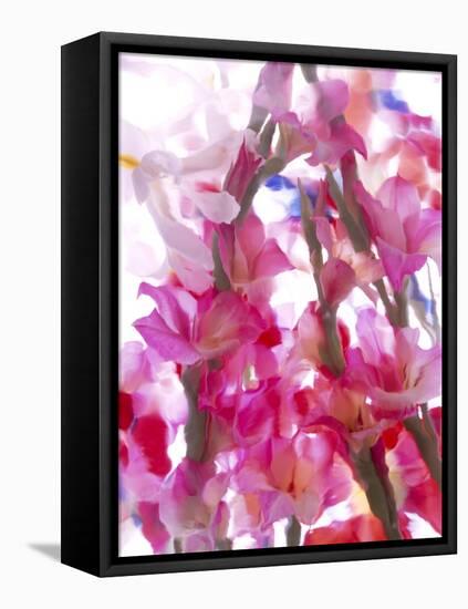 Flowers-Andrzej Pluta-Framed Stretched Canvas