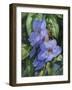 Flowers-Michael Jackson-Framed Giclee Print