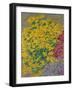 Flowers-Anna de Noailles-Framed Giclee Print