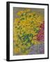 Flowers-Anna de Noailles-Framed Giclee Print