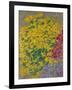 Flowers-Anna de Noailles-Framed Giclee Print