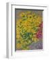 Flowers-Anna de Noailles-Framed Giclee Print