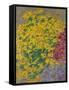 Flowers-Anna de Noailles-Framed Stretched Canvas