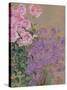 Flowers-Anna de Noailles-Stretched Canvas