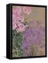 Flowers-Anna de Noailles-Framed Stretched Canvas