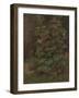 Flowers-Hugh Newell-Framed Giclee Print