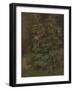 Flowers-Hugh Newell-Framed Giclee Print