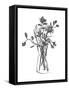 Flowers-Dan Hobday-Framed Stretched Canvas