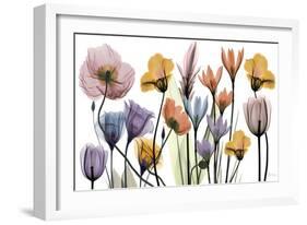Flowerscape Portrait-Albert Koetsier-Framed Premium Giclee Print