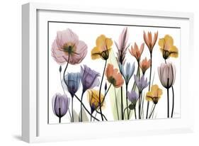 Flowerscape Portrait-Albert Koetsier-Framed Art Print