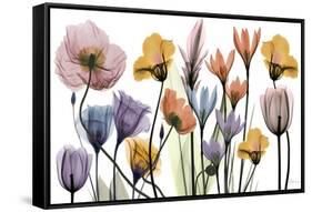 Flowerscape Portrait-Albert Koetsier-Framed Stretched Canvas