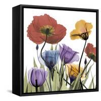 Flowerscape-Albert Koetsier-Framed Stretched Canvas