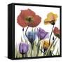 Flowerscape-Albert Koetsier-Framed Stretched Canvas