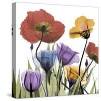 Flowerscape-Albert Koetsier-Stretched Canvas