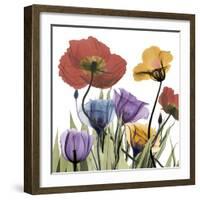 Flowerscape-Albert Koetsier-Framed Photographic Print