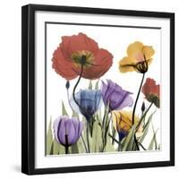 Flowerscape-Albert Koetsier-Framed Photographic Print