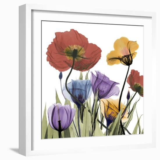 Flowerscape-Albert Koetsier-Framed Photographic Print