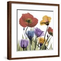 Flowerscape-Albert Koetsier-Framed Photographic Print