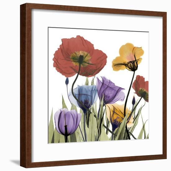 Flowerscape-Albert Koetsier-Framed Photographic Print