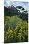 Flowery Canyon, Watchman and Pa Rus Trail, Zion National Park, Utah-Vincent James-Mounted Photographic Print