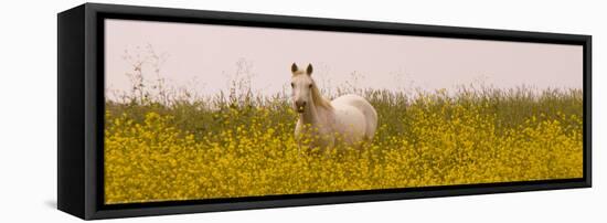 Flowery Field-Sally Linden-Framed Stretched Canvas
