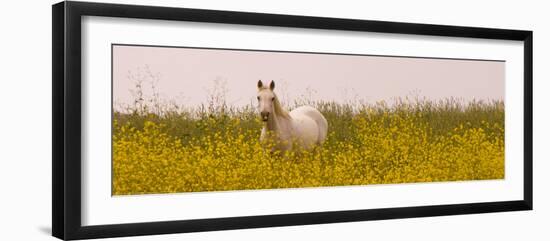 Flowery Field-Sally Linden-Framed Photo