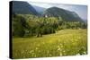 Flowery Pastures in the Piatra Craiulu Mountains-null-Stretched Canvas