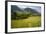 Flowery Pastures in the Piatra Craiulu Mountains-null-Framed Photographic Print