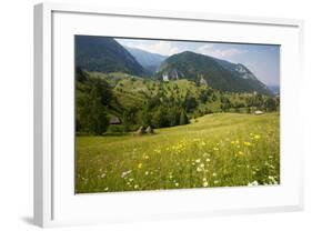 Flowery Pastures in the Piatra Craiulu Mountains-null-Framed Photographic Print