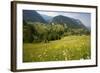 Flowery Pastures in the Piatra Craiulu Mountains-null-Framed Photographic Print