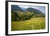 Flowery Pastures in the Piatra Craiulu Mountains-null-Framed Photographic Print