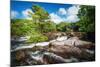 Flowing Easy-Philippe Sainte-Laudy-Mounted Photographic Print